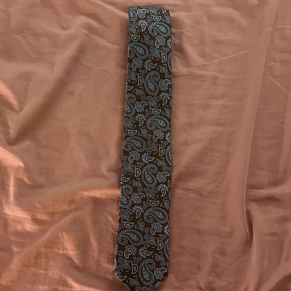 Canali Brown and Blue Paisley Tie